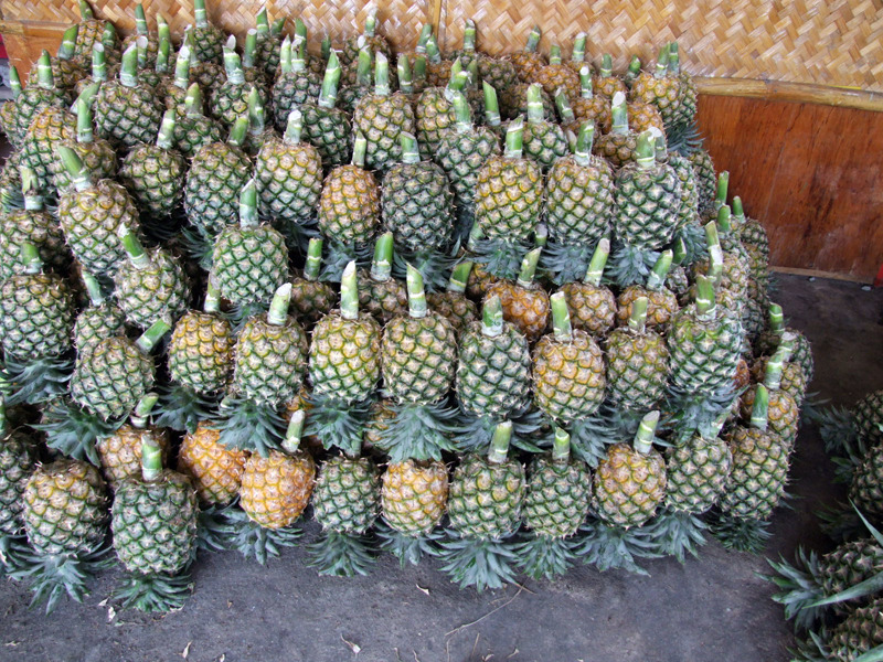 �̹����� Ŭ���ϸ� ������ ���� �� �ֽ��ϴ�.