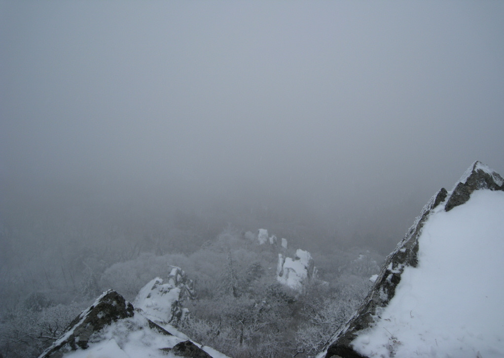 �̹����� Ŭ���ϸ� ������ ���� �� �ֽ��ϴ�.