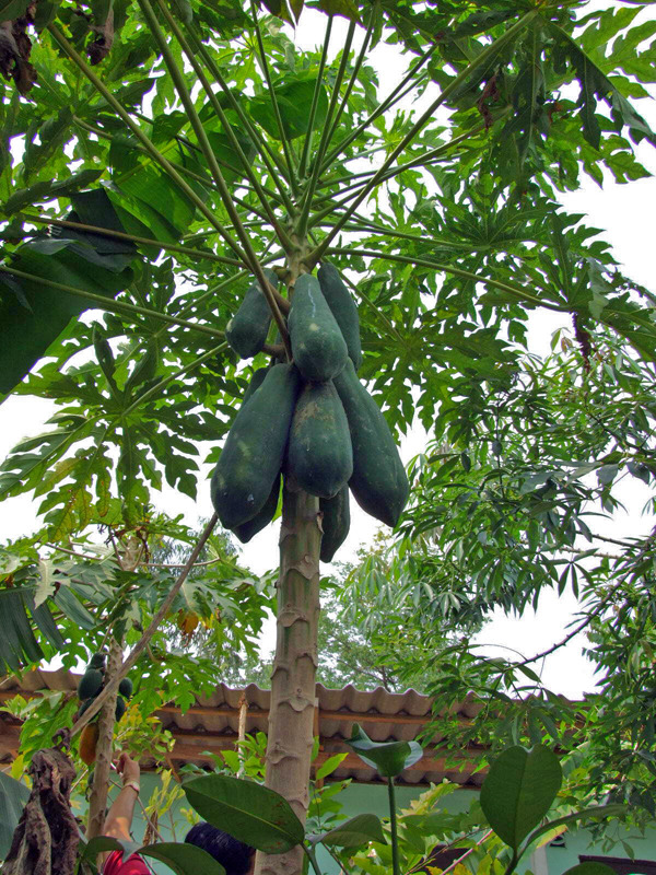 �̹����� Ŭ���ϸ� ������ ���� �� �ֽ��ϴ�.