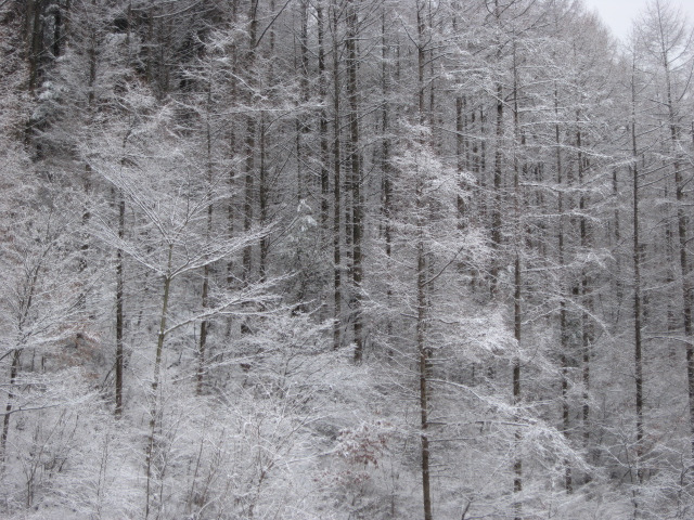 �̹����� Ŭ���ϸ� ������ ���� �� �ֽ��ϴ�.