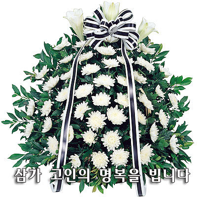 와우정 이미지