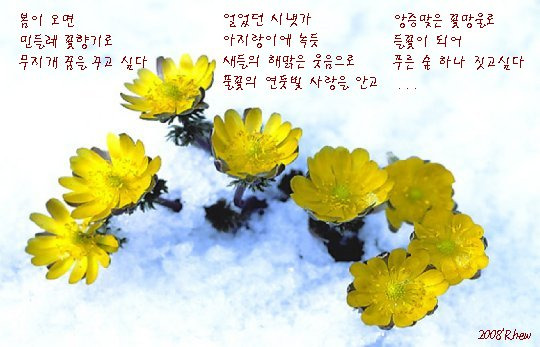 이미지를 클릭하면 원본을 보실 수 있습니다.