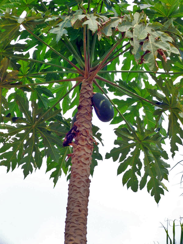 �̹����� Ŭ���ϸ� ������ ���� �� �ֽ��ϴ�.