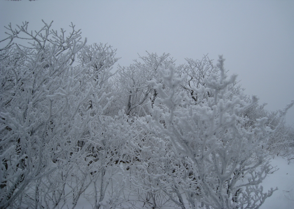 �̹����� Ŭ���ϸ� ������ ���� �� �ֽ��ϴ�.