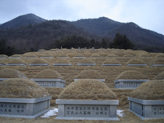 선영 이미지