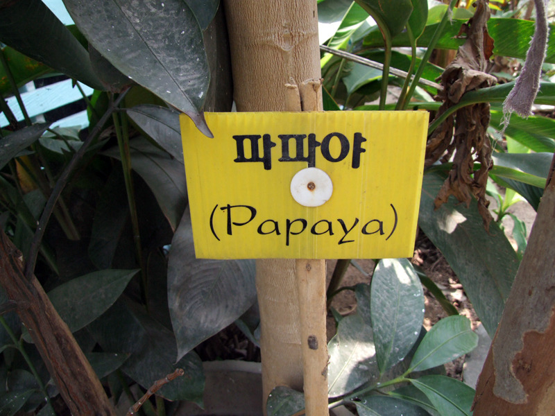 �̹����� Ŭ���ϸ� ������ ���� �� �ֽ��ϴ�.