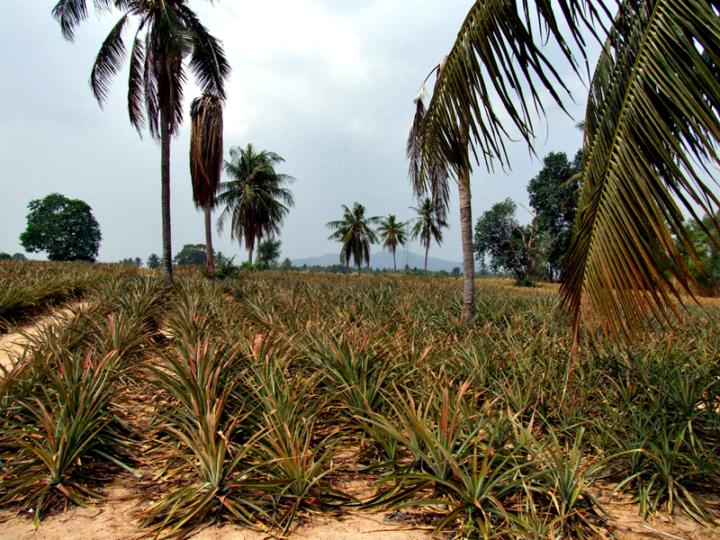 �̹����� Ŭ���ϸ� ������ ���� �� �ֽ��ϴ�.