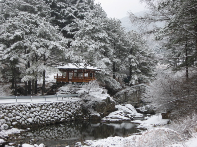 �̹����� Ŭ���ϸ� ������ ���� �� �ֽ��ϴ�.