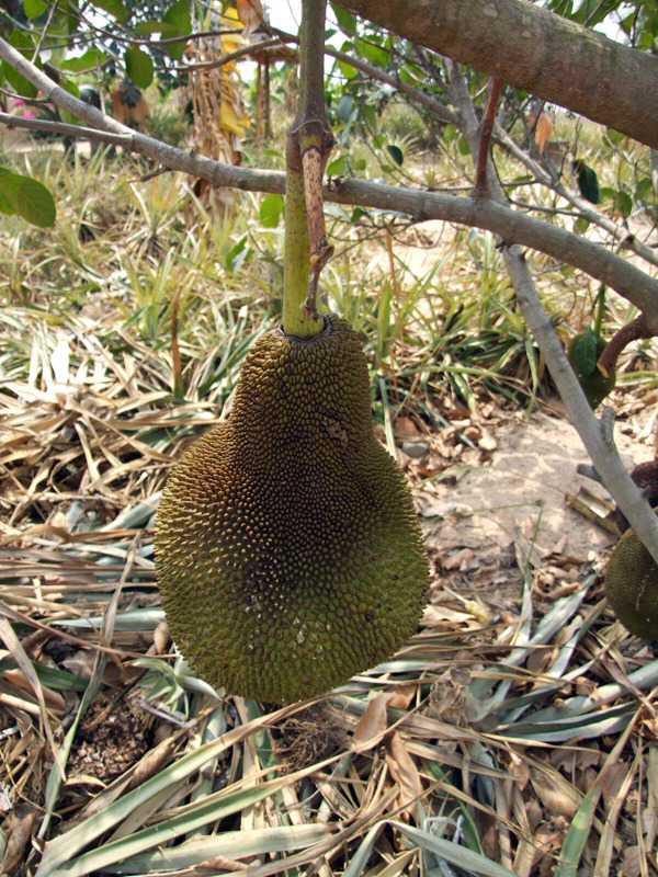 �̹����� Ŭ���ϸ� ������ ���� �� �ֽ��ϴ�.