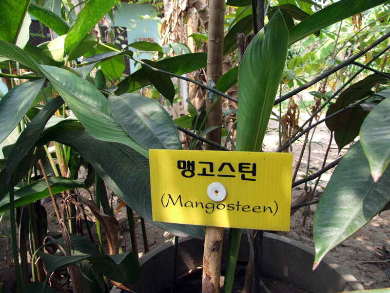 �̹����� Ŭ���ϸ� ������ ���� �� �ֽ��ϴ�.