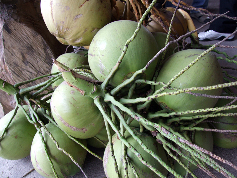 �̹����� Ŭ���ϸ� ������ ���� �� �ֽ��ϴ�.