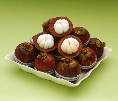 �̹����� Ŭ���ϸ� ������ ���� �� �ֽ��ϴ�.