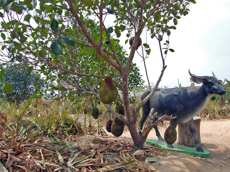 �̹����� Ŭ���ϸ� ������ ���� �� �ֽ��ϴ�.